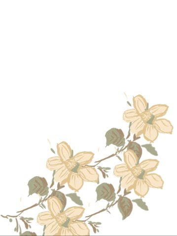 Hand-drawn botanical study
